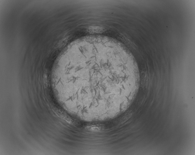 X0000080700655200701121752