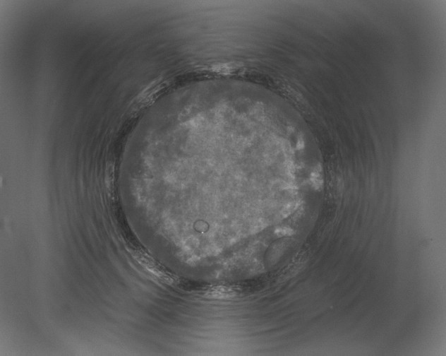 X0000080700656200701121752