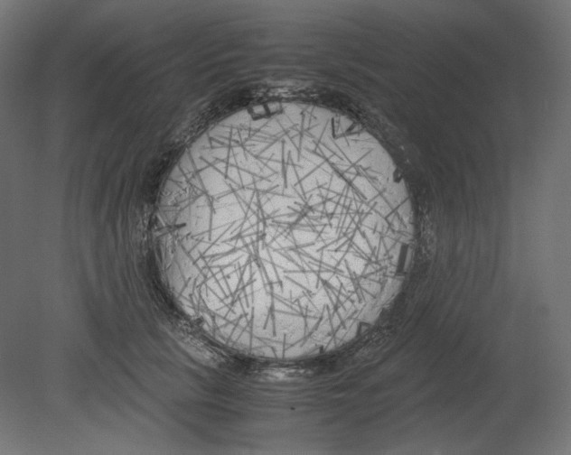 X0000080700657200701121752