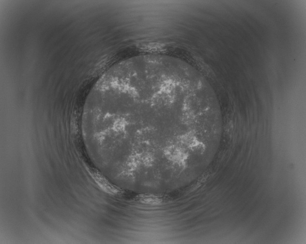 X0000080700658200701121752