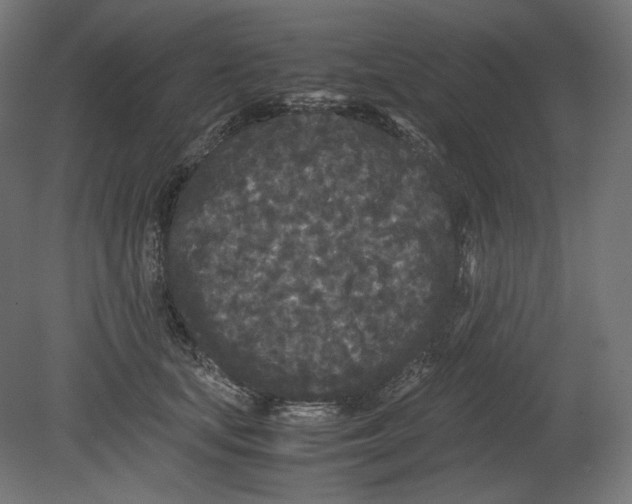 X0000080700659200701121752