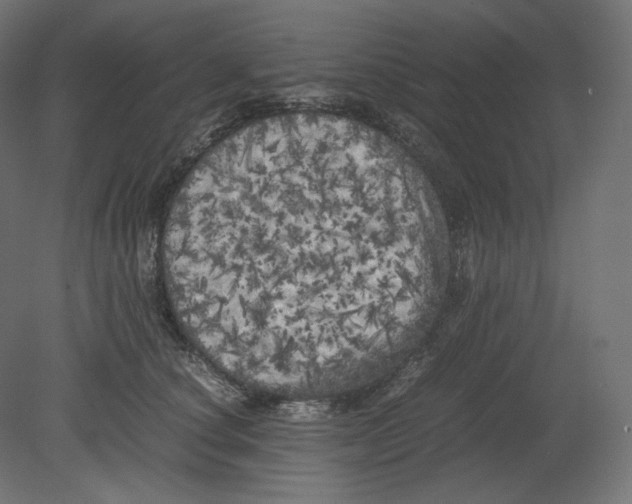 X0000080700660200701121752