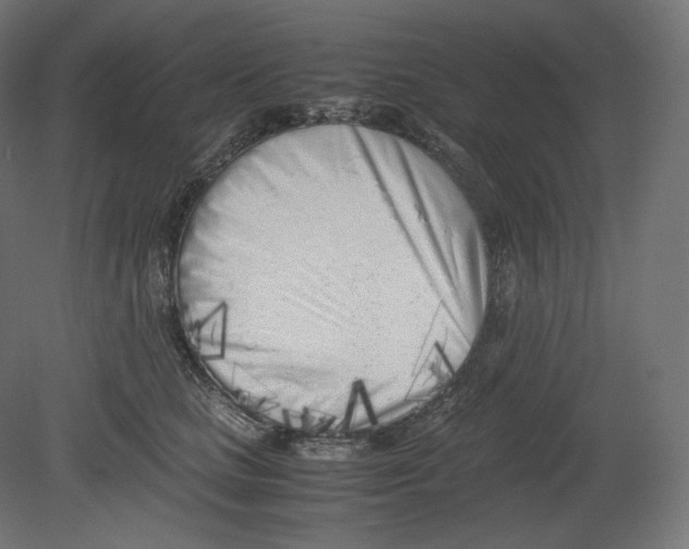 X0000080700661200701121753