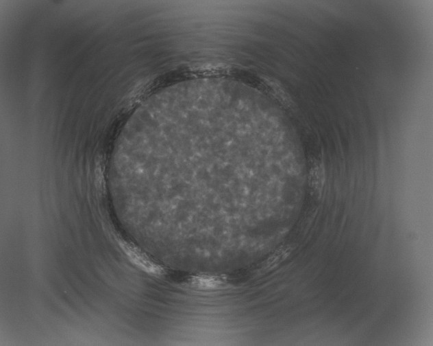 X0000080700662200701121753