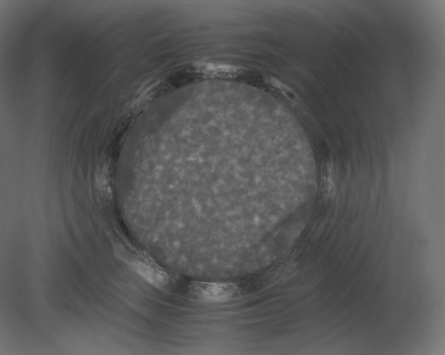 X0000080700663200701121753