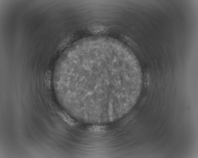 X0000080700664200701121753