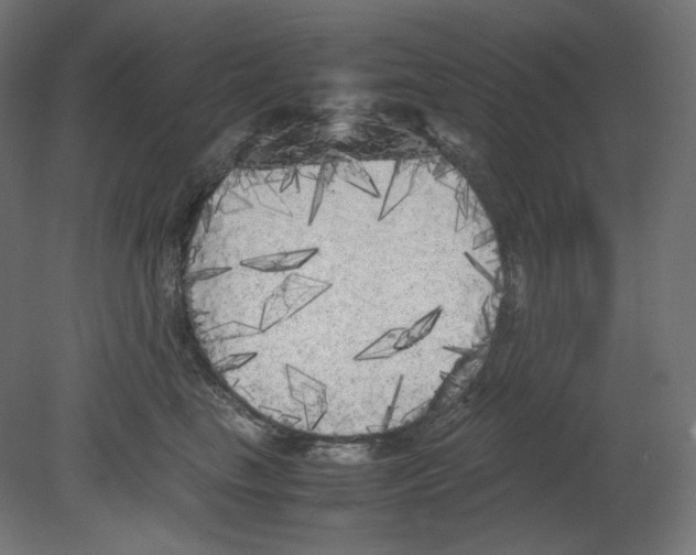 X0000080700665200701121753