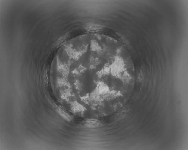 X0000080700666200701121753