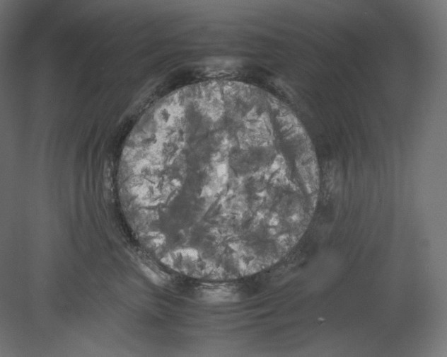 X0000080700667200701121753