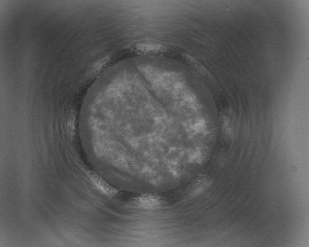 X0000080700668200701121753