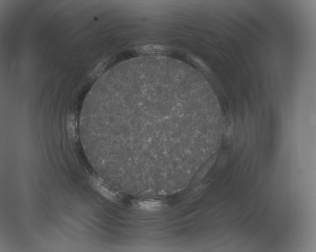 X0000080700669200701121753