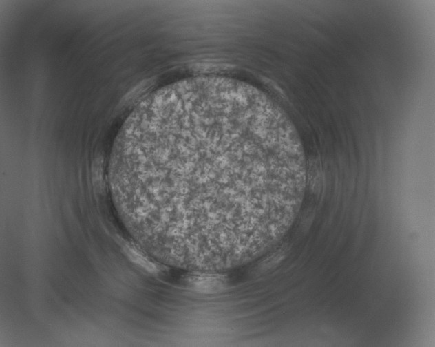 X0000080700670200701121753