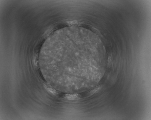 X0000080700671200701121753