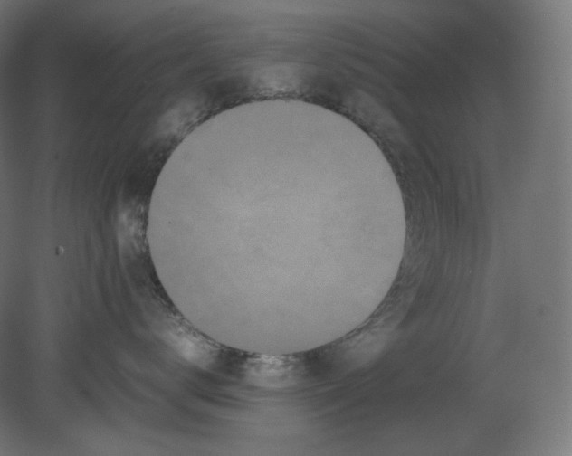 X0000080700672200701121753