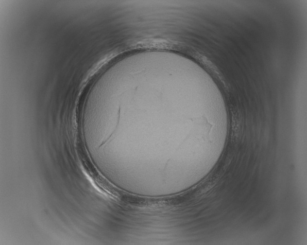 X0000080700674200701121752