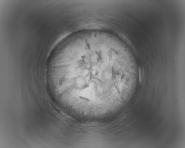 X0000080700675200701121752