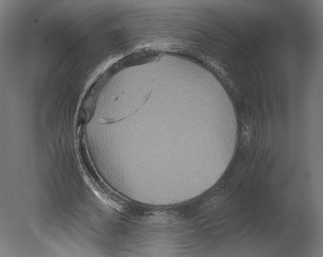 X0000080700678200701121752