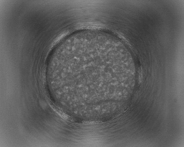 X0000080700679200701121752