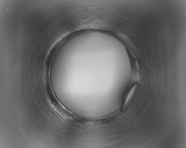 X0000080700680200701121752