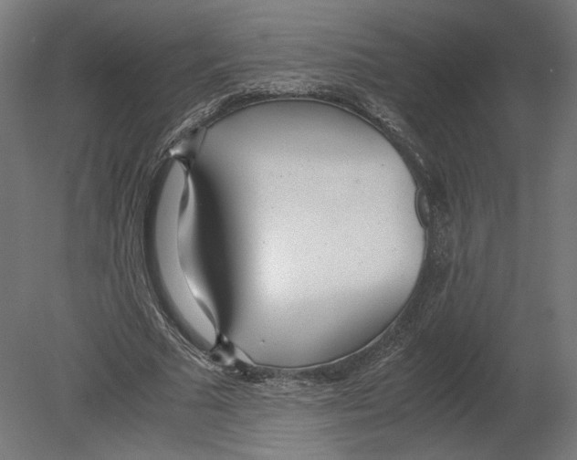 X0000080700681200701121752