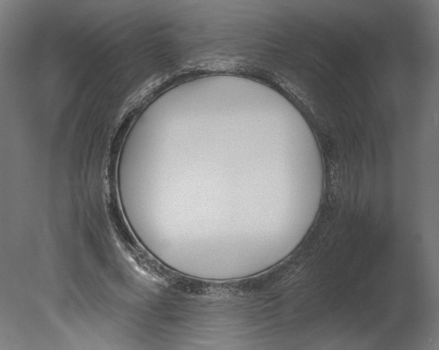 X0000080700682200701121752