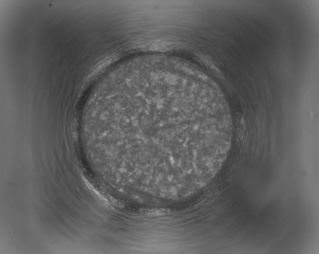 X0000080700683200701121752