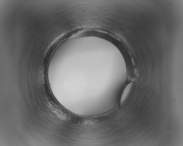 X0000080700684200701121752