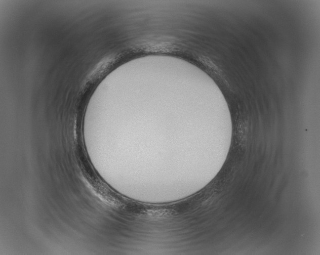 X0000080700686200701121752