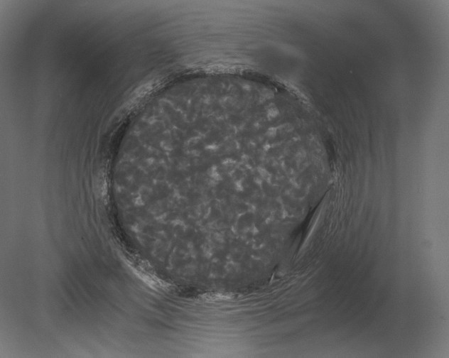 X0000080700687200701121752