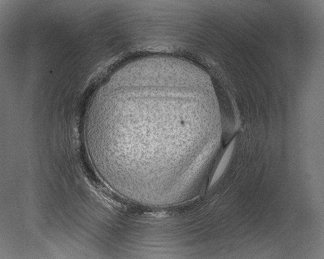 X0000080700688200701121752