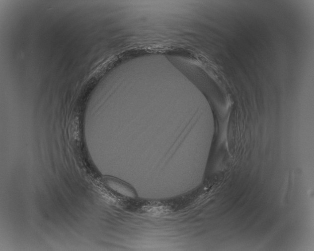 X0000080700689200701121752