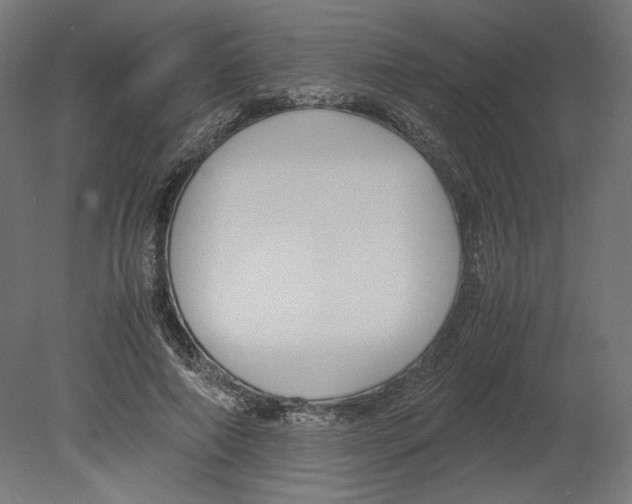 X0000080700690200701121752