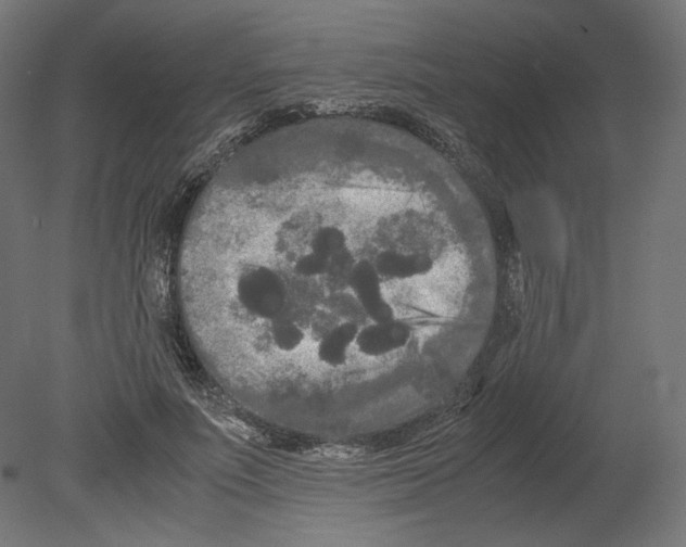 X0000080700691200701121752