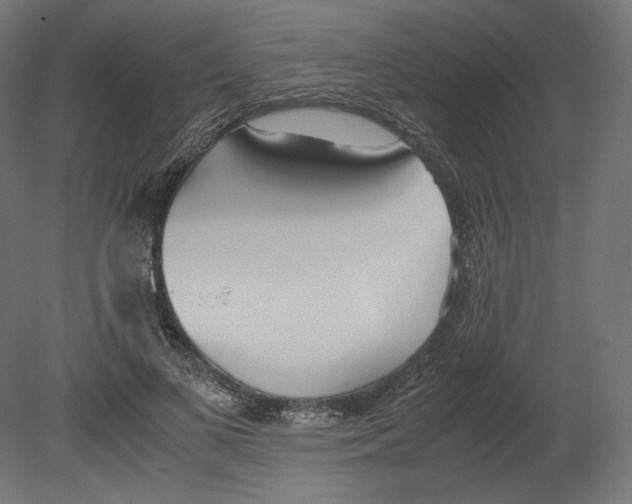 X0000080700693200701121752