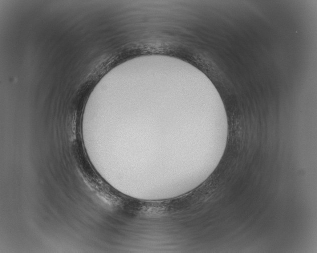 X0000080700694200701121752