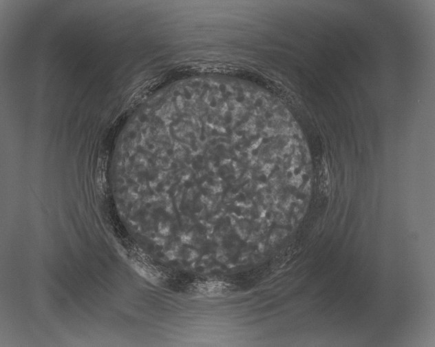 X0000080700695200701121752