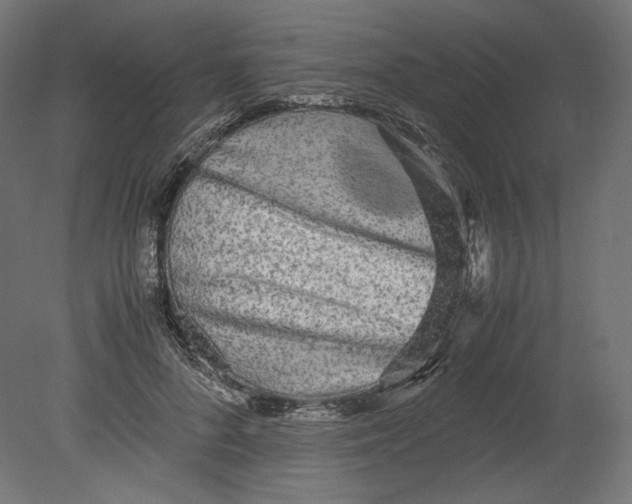 X0000080700696200701121751