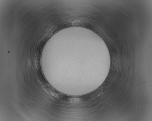 X0000080700698200701121751