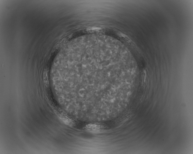 X0000080700699200701121751