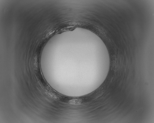 X0000080700700200701121751