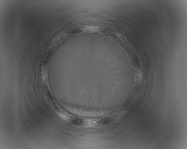 X0000080700701200701121751