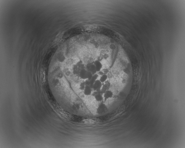 X0000080700703200701121751