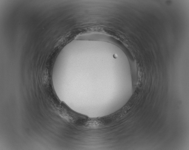 X0000080700704200701121751