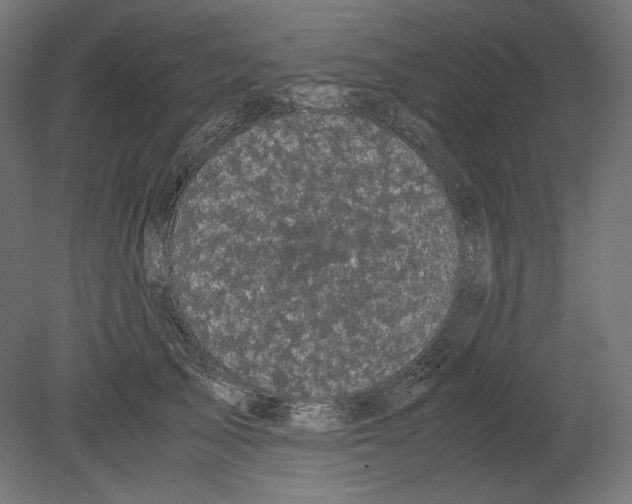 X0000080700705200701121751