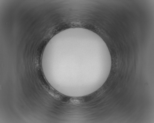 X0000080700706200701121751