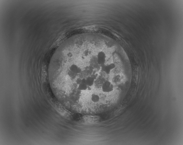 X0000080700707200701121751