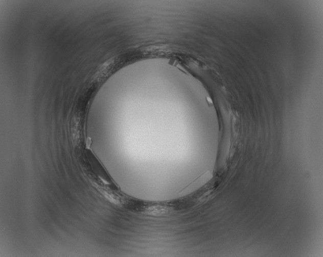 X0000080700708200701121751