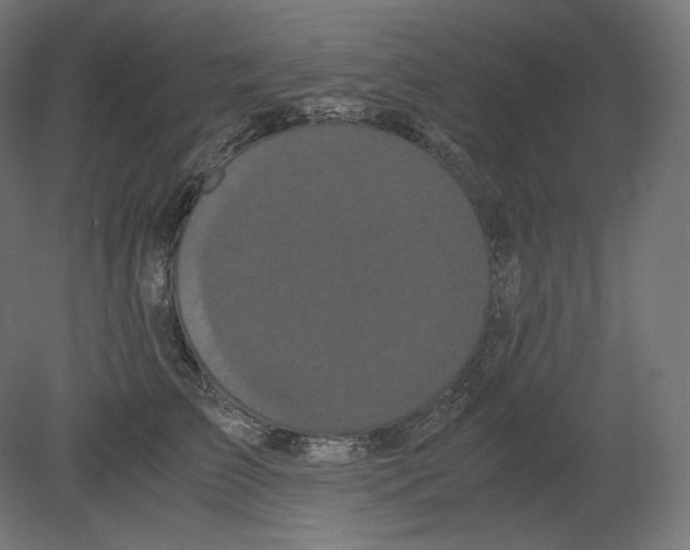 X0000080700709200701121751