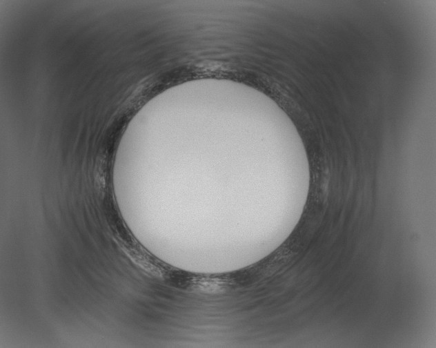 X0000080700710200701121751