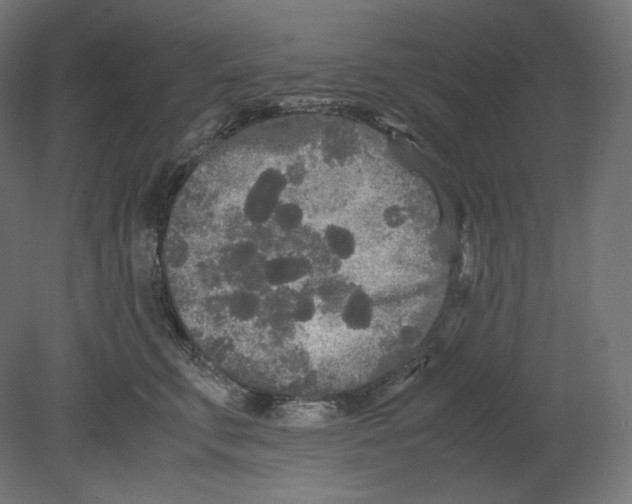 X0000080700711200701121751